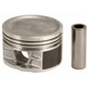 Purchase Top-Quality Cast Piston (Pack of 4) by SEALED POWER - H579P pa2