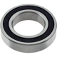 Purchase Top-Quality Center Support Bearing by WJB - RB6007-2RS pa2