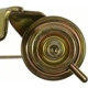 Purchase Top-Quality Choke Pull Off (Carbureted) by BLUE STREAK (HYGRADE MOTOR) - CPA270 pa4
