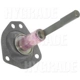 Purchase Top-Quality Choke Pull Off (Carbureted) by BLUE STREAK (HYGRADE MOTOR) - CPA289 pa4