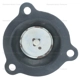 Purchase Top-Quality Choke Pull Off (Carbureted) by BLUE STREAK (HYGRADE MOTOR) - CPA326 pa3