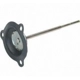 Purchase Top-Quality Choke Pull Off (Carbureted) by BLUE STREAK (HYGRADE MOTOR) - CPA326 pa7