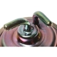 Purchase Top-Quality Choke Pull Off (Carbureted) by BLUE STREAK (HYGRADE MOTOR) - CPA328 pa2