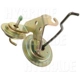 Purchase Top-Quality Choke Pull Off (Carbureted) by BLUE STREAK (HYGRADE MOTOR) - CPA356 pa1