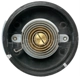 Purchase Top-Quality Choke Thermostat (Carbureted) by BLUE STREAK (HYGRADE MOTOR) - CV178 pa3