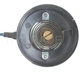 Purchase Top-Quality Choke Thermostat (Carbureted) by BLUE STREAK (HYGRADE MOTOR) - CV226 pa2