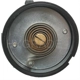 Purchase Top-Quality Choke Thermostat (Carbureted) by BLUE STREAK (HYGRADE MOTOR) - CV279 pa3