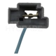 Purchase Top-Quality Choke Thermostat (Carbureted) by BLUE STREAK (HYGRADE MOTOR) - CV405 pa2
