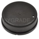 Purchase Top-Quality Thermostat volet de départ (carburété) par BLUE STREAK (HYGRADE MOTOR) - CV94 pa2