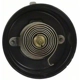 Purchase Top-Quality Choke Thermostat (Carbureted) by BLUE STREAK (HYGRADE MOTOR) - CV160 pa6