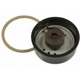 Purchase Top-Quality Choke Thermostat (Carbureted) by BLUE STREAK (HYGRADE MOTOR) - CV190 pa2