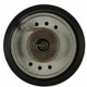 Purchase Top-Quality Choke Thermostat (Carbureted) by BLUE STREAK (HYGRADE MOTOR) - CV190 pa5