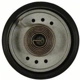 Purchase Top-Quality Choke Thermostat (Carbureted) by BLUE STREAK (HYGRADE MOTOR) - CV190 pa7