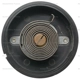 Purchase Top-Quality Thermostat volet de départ (carburété) par BLUE STREAK (HYGRADE MOTOR) - CV196 pa3