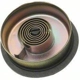 Purchase Top-Quality Choke Thermostat (Carbureted) by BLUE STREAK (HYGRADE MOTOR) - CV212 pa8