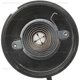 Purchase Top-Quality Thermostat volet de départ (carburété) par BLUE STREAK (HYGRADE MOTOR) - CV234 pa4