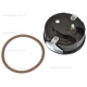 Purchase Top-Quality Choke Thermostat (Carbureted) by BLUE STREAK (HYGRADE MOTOR) - CV243 pa2