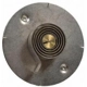 Purchase Top-Quality Choke Thermostat (Carbureted) by BLUE STREAK (HYGRADE MOTOR) - CV305 pa6