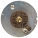 Purchase Top-Quality Thermostat volet de départ (carburété) par BLUE STREAK (HYGRADE MOTOR) - CV327 pa2