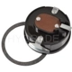 Purchase Top-Quality Choke Thermostat (Carbureted) by BLUE STREAK (HYGRADE MOTOR) - CV369 pa3