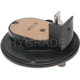 Purchase Top-Quality Choke Thermostat (Carbureted) by BLUE STREAK (HYGRADE MOTOR) - CV374 pa4