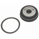 Purchase Top-Quality Choke Thermostat (Carbureted) by BLUE STREAK (HYGRADE MOTOR) - CV77 pa5