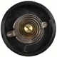 Purchase Top-Quality Choke Thermostat (Carbureted) by BLUE STREAK (HYGRADE MOTOR) - CV98 pa11