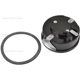 Purchase Top-Quality Choke Thermostat (Carbureted) by BLUE STREAK (HYGRADE MOTOR) - CV98 pa3