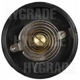 Purchase Top-Quality Thermostat volet de départ (carburété) par BLUE STREAK (HYGRADE MOTOR) - CV98 pa8