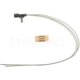 Purchase Top-Quality Connecteur d'allume cigar de BLUE STREAK (HYGRADE MOTOR) - S1108 pa26