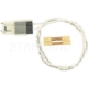 Purchase Top-Quality Connecteur d'allume cigar de BLUE STREAK (HYGRADE MOTOR) - S1648 pa19