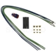 Purchase Top-Quality Connecteur d'allume cigar de BLUE STREAK (HYGRADE MOTOR) - S2295 pa4