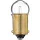 Purchase Top-Quality Clock Light (Pack of 10) by PHILIPS - 1445CP pa33