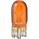 Purchase Top-Quality Clock Light by PHILIPS - 194NALLB2 pa36