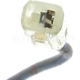 Purchase Top-Quality Clock Spring by BLUE STREAK (HYGRADE MOTOR) - CBS1358 pa11
