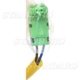 Purchase Top-Quality Clock Spring by BLUE STREAK (HYGRADE MOTOR) - CBS1362 pa4