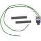 Purchase Top-Quality Clutch Coil Connector by BLUE STREAK (HYGRADE MOTOR) - S3052 pa1