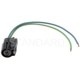 Purchase Top-Quality Connecteur de bobine d'embrayage par BLUE STREAK (HYGRADE MOTOR) - S536 pa23