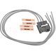 Purchase Top-Quality Clutch Connector by BLUE STREAK (HYGRADE MOTOR) - S1600 pa1