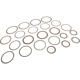 Purchase Top-Quality Clutch Plate Or Plates by ACDELCO - 24292069 pa1