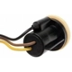 Purchase Top-Quality Coach Lamp Socket by ACDELCO PROFESSIONAL - LS248 pa4