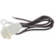 Purchase Top-Quality Coach Lamp Socket by BLUE STREAK (HYGRADE MOTOR) - HP4060 pa28