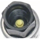 Purchase Top-Quality Compressor Cut-Off Switch by BLUE STREAK (HYGRADE MOTOR) - TCA24 pa1