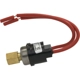 Purchase Top-Quality Compressor Cut-Off Switch by FOUR SEASONS - 35833 pa7