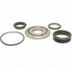 Purchase Top-Quality Compressor Shaft Seal Kit by FOUR SEASONS - 24017 pa1