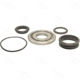 Purchase Top-Quality Compressor Shaft Seal Kit by FOUR SEASONS - 24017 pa2