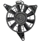 Purchase Top-Quality DORMAN - 620-725 - Condenser Fan Assembly Without Controller pa2