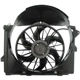 Purchase Top-Quality Condenser Fan Assembly by DORMAN (OE SOLUTIONS) - 620-107 pa1