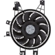 Purchase Top-Quality Condenser Fan Assembly by TYC - 610790 pa12