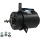 Purchase Top-Quality Condenser Fan Motor by FOUR SEASONS - 35295 pa12